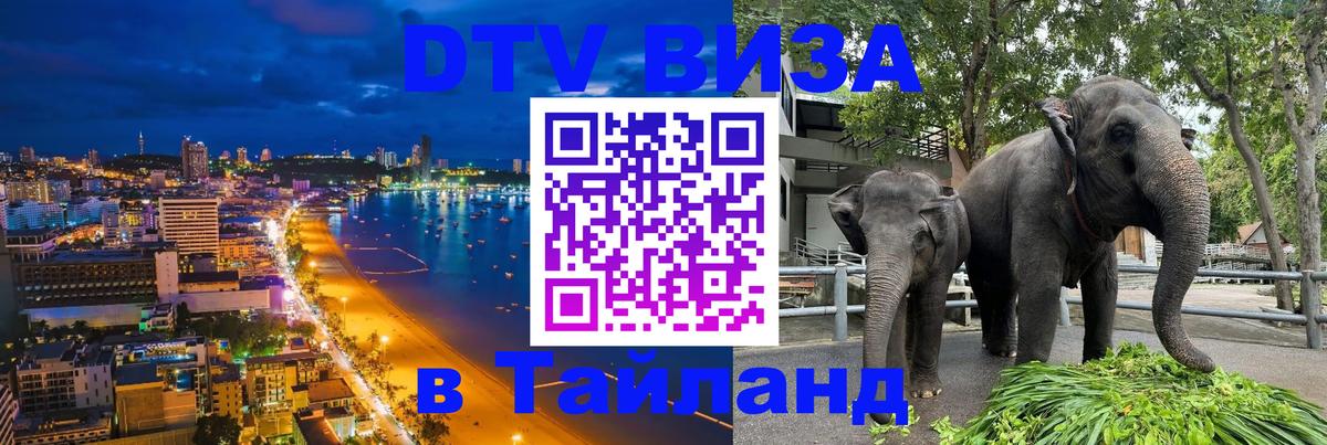 Сколько стоит DTV виза — актуальные цены, оформление даже без документов - Шахты 